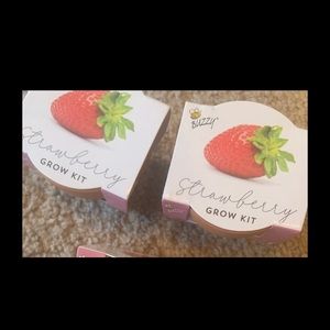(3) Mini Strawberry Grow Kits